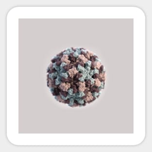 Microscopic Images: Norovirus Virion Close-up Sticker